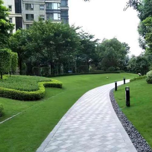 小区绿化施工设计及养护