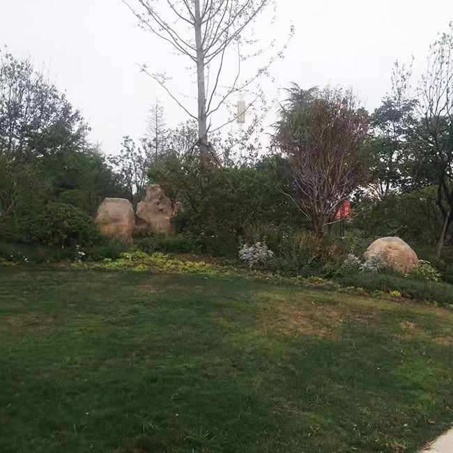 小区绿化施工设计及养护