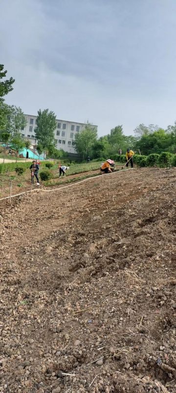 厂区绿化施工设计及养护