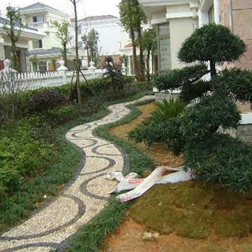 别墅绿化施工设计及养护