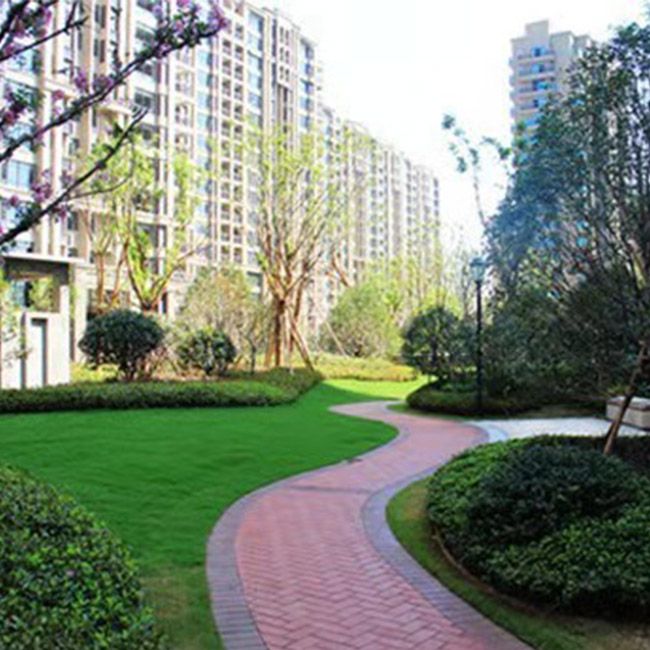 公园绿化施工设计及养护